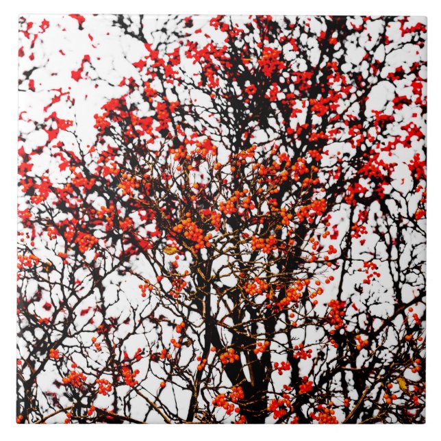 Red rowan fruits or ash berries ceramic tile (Front)