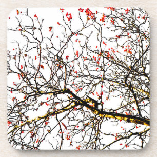 Red rowan fruits or ash berries coaster