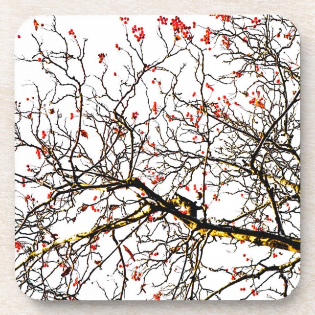 Red rowan fruits or ash berries coaster (Front)