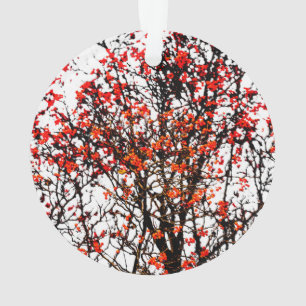 Red rowan fruits or ash berries ornament
