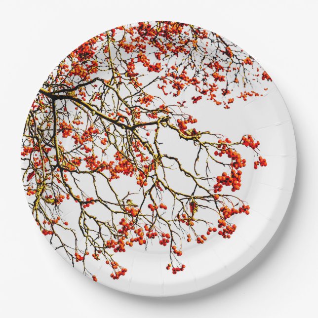 Red rowan fruits or ash berries paper plate (Front)