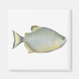 Red Ruby Piranha Magnet
