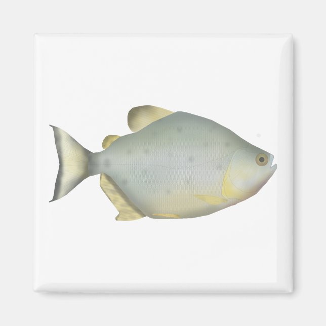 Red Ruby Piranha Magnet (Front)