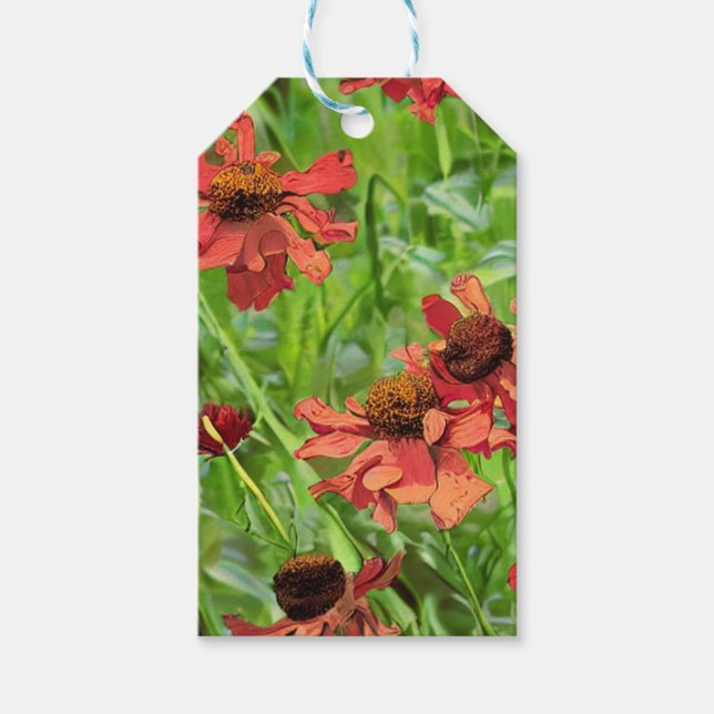 RED RUDBECKIA FLOWERS GIFT TAGS (Front)
