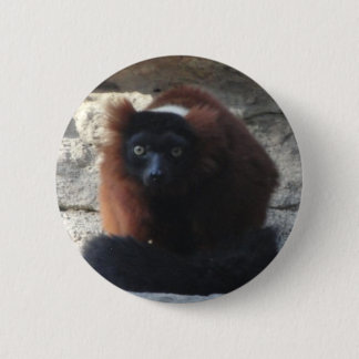 Red Ruffed Lemur 6 Cm Round Badge