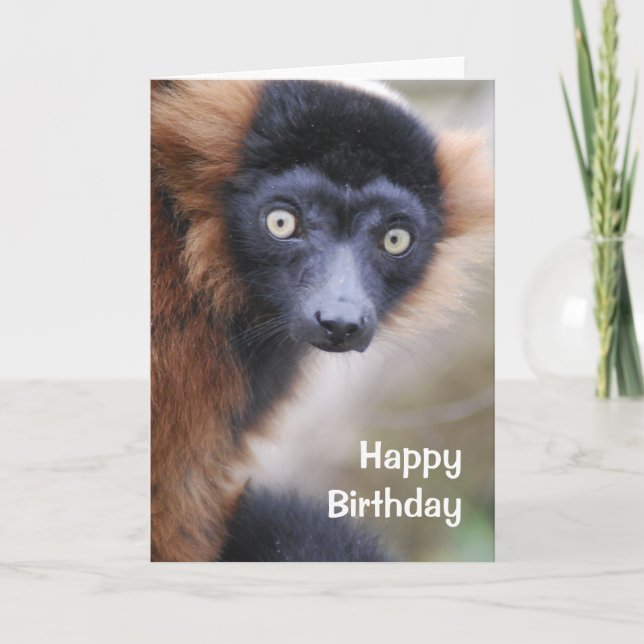 Red Ruffed Lemur Greeting Card (Front)