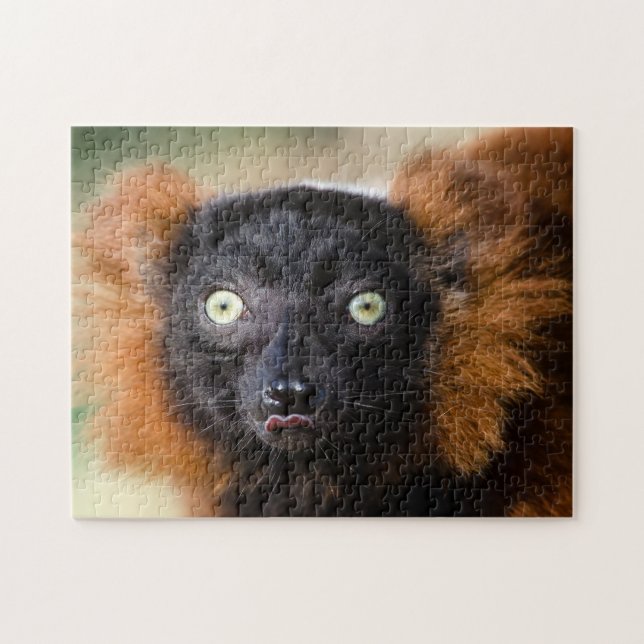 Red Ruffed Lemur, Jigsaw Puzzle (Horizontal)
