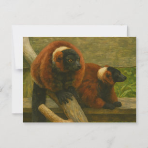 Red Ruffed Lemurs in Woodland Light Postcard
