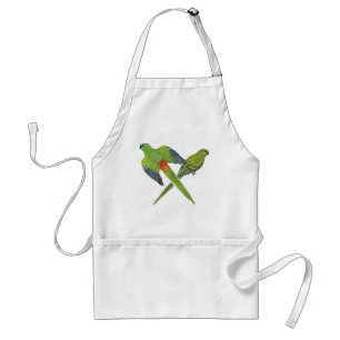 Red-rumped Parrot Pair - Psephotus haematonotus Standard Apron
