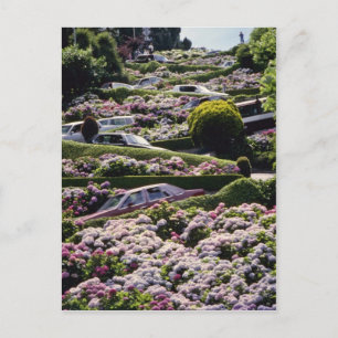 Red San Francisco, California flowers Postcard