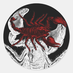 Red Scorpion - Sticker