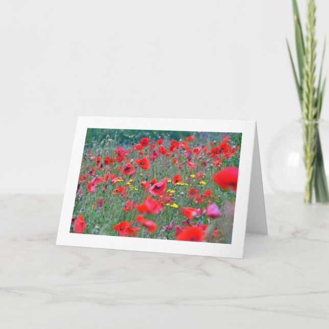 Red Scottish Poppies Card (Front)