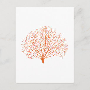red sea fan coral silhouette postcard