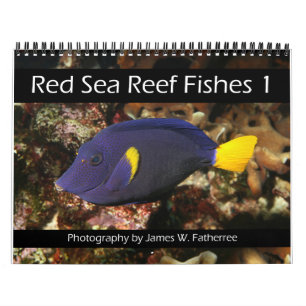 Red Sea Reef Fishes 1 Calendar