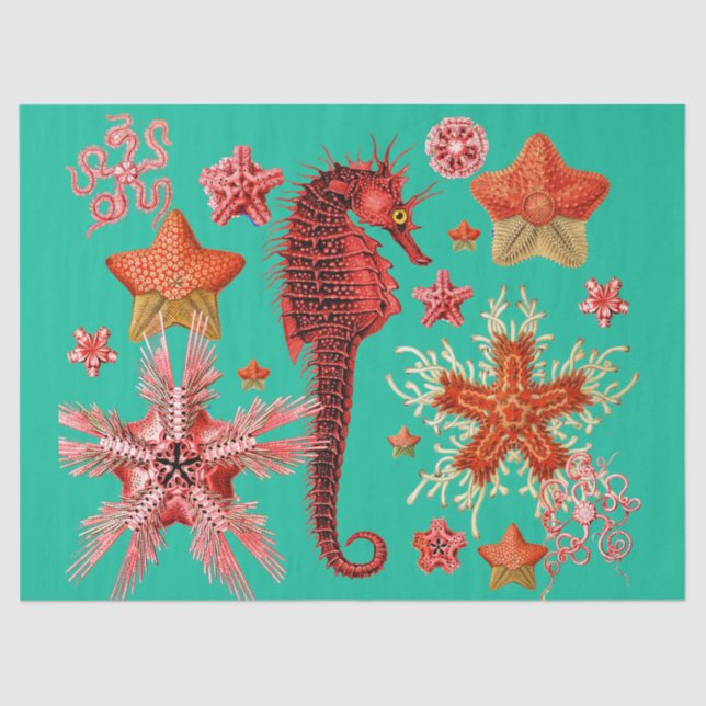 RED SEAHORSE AND SEASTARS IN AQUA BLUE Sea Life Tissue Paper (Front)