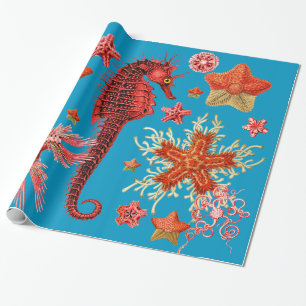 RED SEAHORSE AND SEASTARS IN AQUA BLUE Sea Life Wrapping Paper