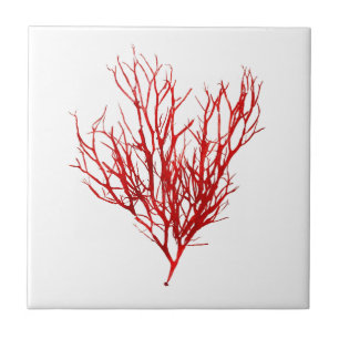 Red Seaweed Art No.10 Beach theme Decor Ceramic Tile