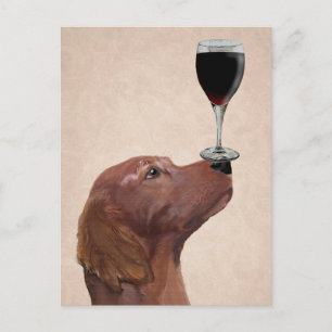 Red Setter Dog Au Vin 2 Postcard