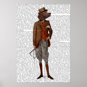 Red Setter Rider Full Poster