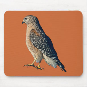 Red Shoulder Hawk Mouse Pad