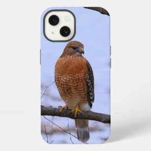 Red-shoulderd hawk iPhone 13 Case
