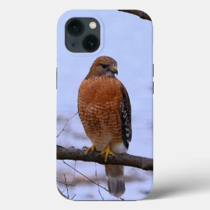 Red-shoulderd hawk iPhone 13 Case