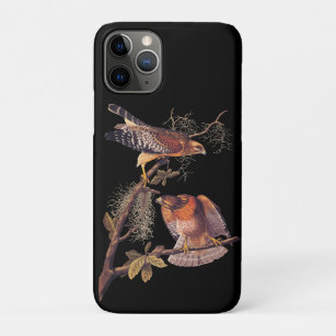 Red Shouldered Hawk Audubon Bird of Prey Case-Mate iPhone Case