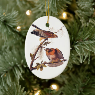 Red Shouldered Hawk Audubon Bird of Prey Ceramic Ornament