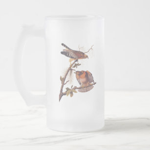 Red Shouldered Hawk Audubon Bird of Prey Frosted Glass Beer Mug