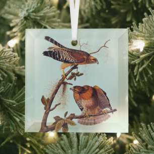 Red Shouldered Hawk Audubon Bird of Prey Glass Tree Decoration