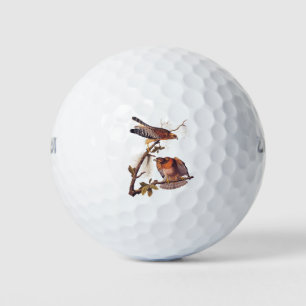 Red Shouldered Hawk Audubon Bird of Prey Golf Balls