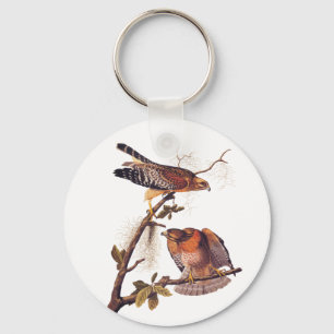 Red Shouldered Hawk Audubon Bird of Prey Key Ring
