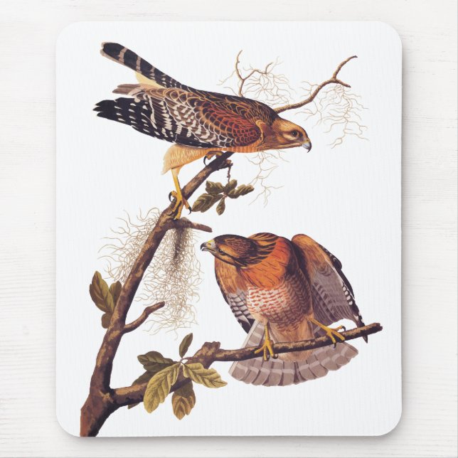Red Shouldered Hawk Audubon Bird of Prey Mouse Pad (Front)