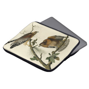 Red-shouldered Hawk - Audubon's Birds of America Laptop Sleeve