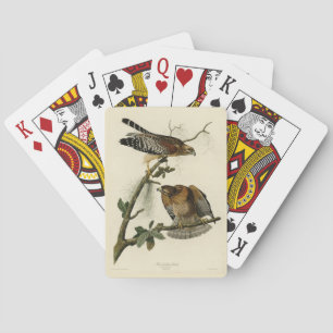 Red-shouldered Hawk - Audubon's Birds of America Playing Cards