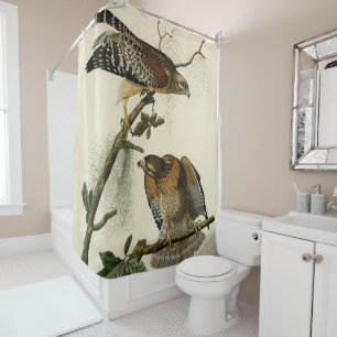 Red-shouldered Hawk - Audubon's Birds of America Shower Curtain