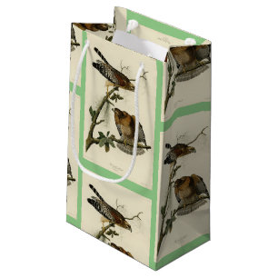 Red-shouldered Hawk - Audubon's Birds of America Small Gift Bag