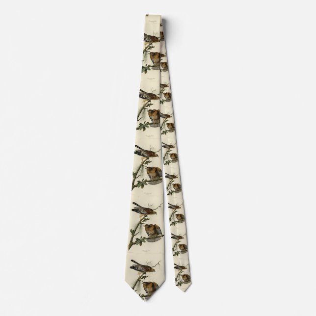 Red-shouldered Hawk - Audubon's Birds of America Tie (Front)