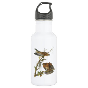 Red-shouldered Hawk by Audubon 532 Ml Water Bottle
