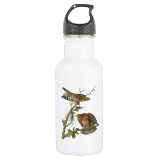 Red-shouldered Hawk by Audubon 532 Ml Water Bottle