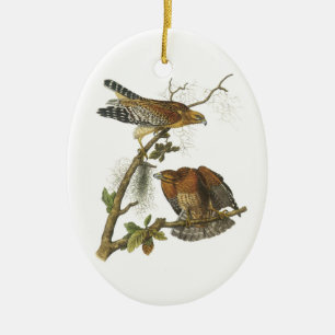 Red-shouldered Hawk by Audubon Ceramic Tree Decoration