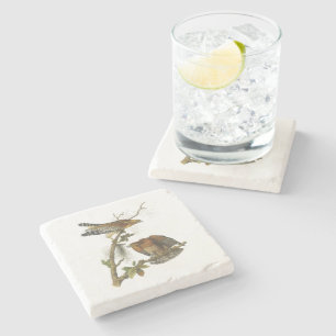 Red-shouldered Hawk by Audubon Stone Coaster