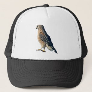 Red-shouldered Hawk Hat