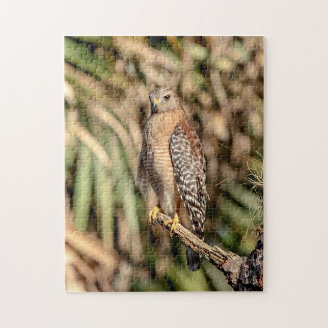 Red Shouldered Hawk in a tree Jigsaw Puzzle (Vertical)