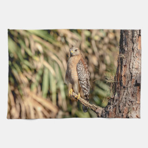 Red Shouldered Hawk in a tree Tea Towel