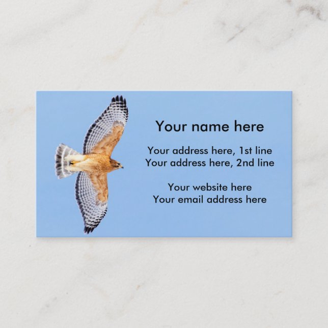Red Shouldered Hawk in flight Business Card (Front)
