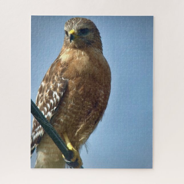 Red-shouldered Hawk Jigsaw Puzzle (Vertical)