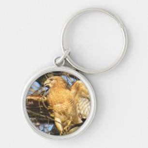 Red-shouldered Hawk Key Chain