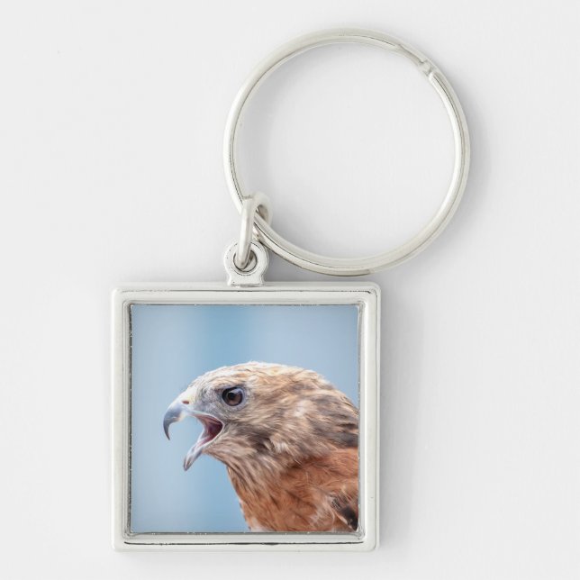 Red Shouldered Hawk Key Ring (Front)