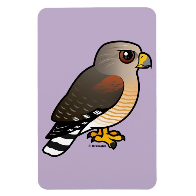 Red-shouldered Hawk Magnet (Vertical)
